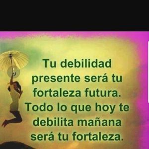 Meet your Posher, Bertha